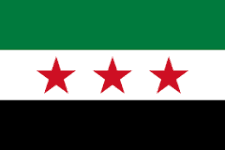 Syria U20 W logo