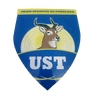 US Tchologo logo