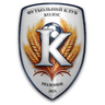Polonne logo
