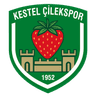 Kestel Çilek logo