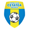 Cetatea Suceava logo