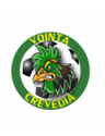 Voința Crevedia logo