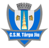 CSM Targu Jiu logo