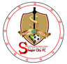 Sheger Ketema logo