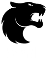 Furia logo