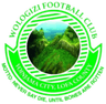 Wologizi logo