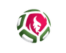 Belarus U19 W logo
