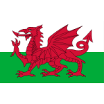 Wales U19 W logo