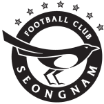 Seongnam FC logo