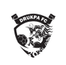 Drukpa logo