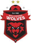 Wollongong Wolves U20 logo