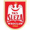 Sleza Wroclaw W logo