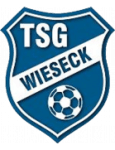 Wieseck U19 logo