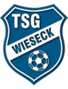 Wieseck U19 logo