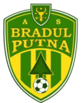 Bradul Putna logo