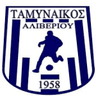 Tamynaikos Aliveriou logo