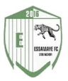Essamaye logo