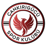 Cankirigucu logo