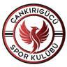 Cankirigucu logo