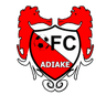 Adiake logo