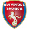 Saumur logo