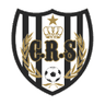 Riadi Salmi logo