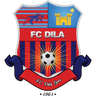 Dila logo