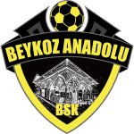 Beykoz Anadolu logo