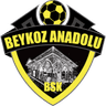 Beykoz Anadolu logo