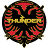 Dandenong Thunder logo