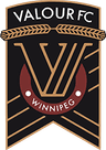 Valour logo