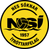 NSÍ II logo