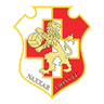 Naxxar Lions logo