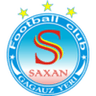 Saxan logo