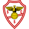 Salgueiros logo
