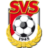 Seekirchen logo