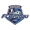 Pinzgau Saalfelden logo