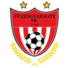Füzesgyarmati logo