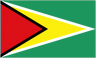Guyana logo