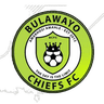 Bulawayo Chiefs logo