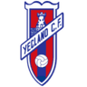 Yeclano logo