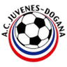 Juvenes / Dogana logo