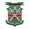 BDF XI logo