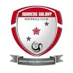 Galaxy logo