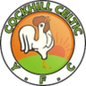 Cockhill Celtic logo