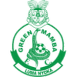 Green Mamba logo