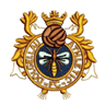 Dolgellau Athletic logo