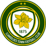 Llanidloes Town logo