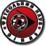 Dinaz Vyshhorod logo