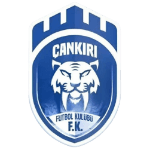 1074 Çankırıspor logo